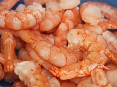 shrimp food